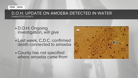 Amoeba in Charlotte County