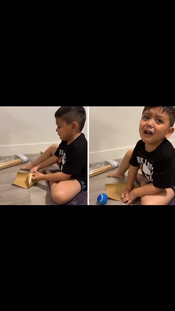 Kid Hilariously Fails to Wrap Present for His Puppy