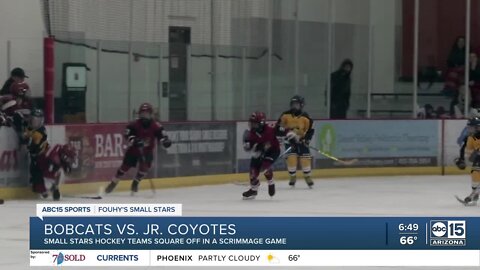 Fouhy's Small Stars: Bobcats vs. Jr. Coyotes