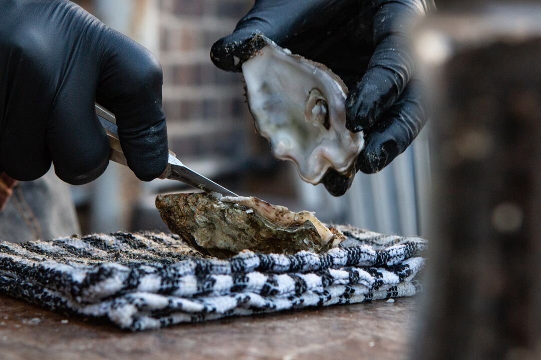 The Rise and Fall of New York Oysters
