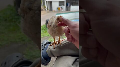 Don’t shit on me please