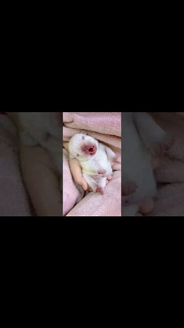 Just a new born baby