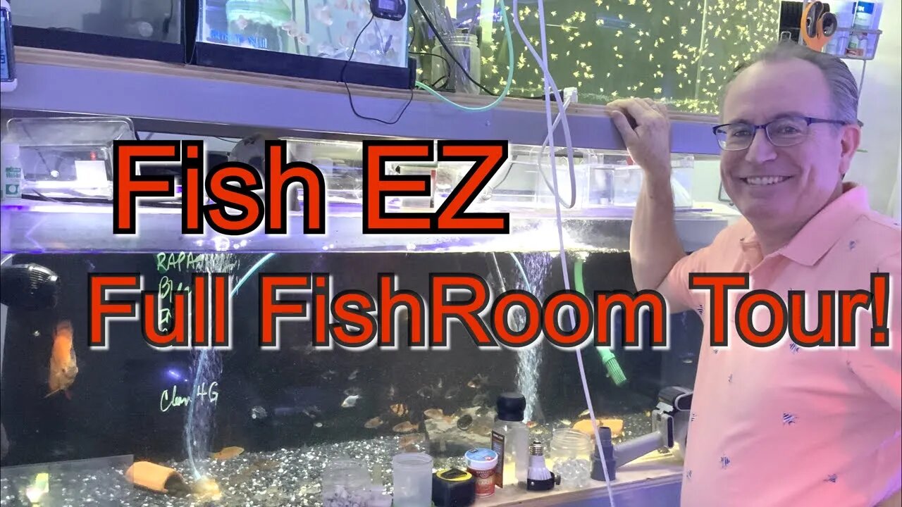 Massive Fish Room Tour of Master Breeder Fish EZ! 1000’s of Babies!!!