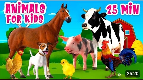 Animal video kids