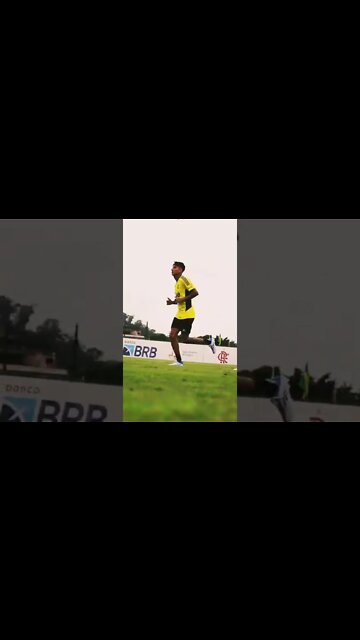 OS REFORÇOS JÁ ESTÃO TREINANDO NO NINHO!!!