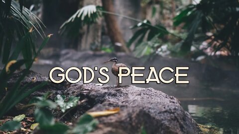 Robert Reed - God's Peace