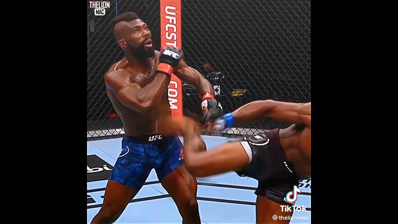 CRAZY UFC KNOCKOUT