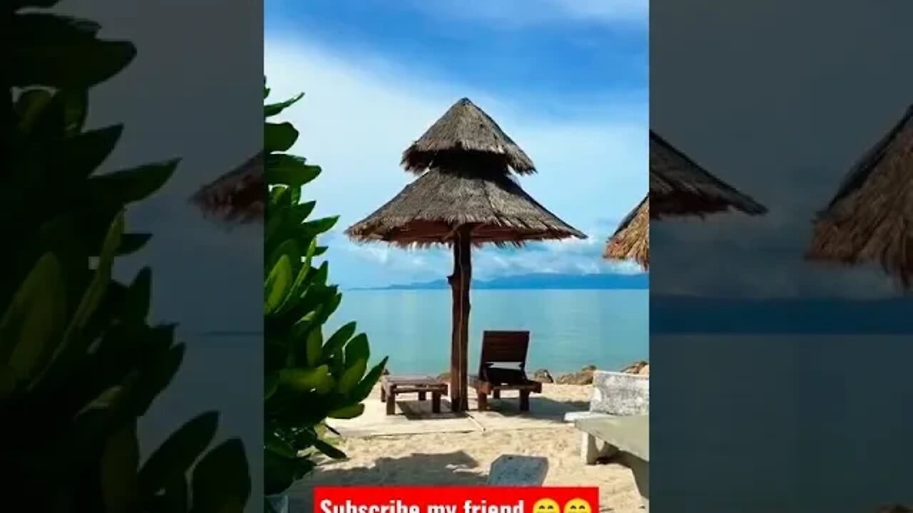 Jo Tera Vo Mera #shorts #yoyohoneysingh #youtubeshorts