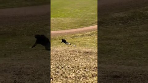 Skateboarding wipe out