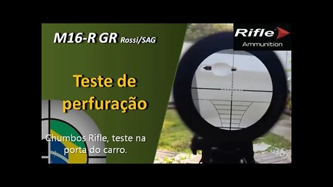 Teste de Perfuração - Chumbos Rifle na Porta do carro