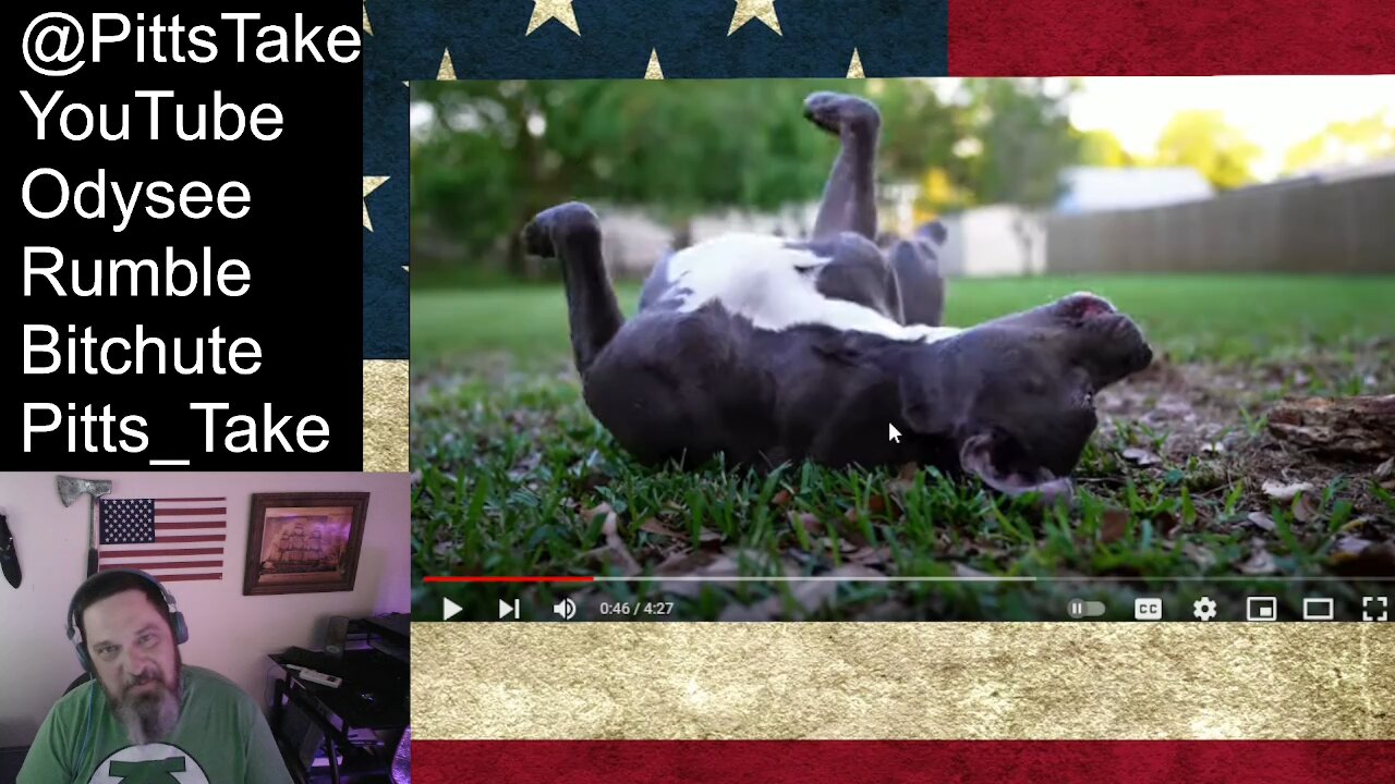 Stubborn as a Pitbull - Jesse Howard Reaction