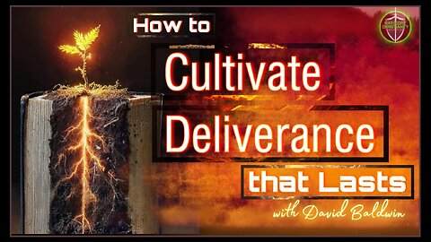 Maintaining Your Deliverance Saturday Deliverance Training Class with David Baldwin 112324