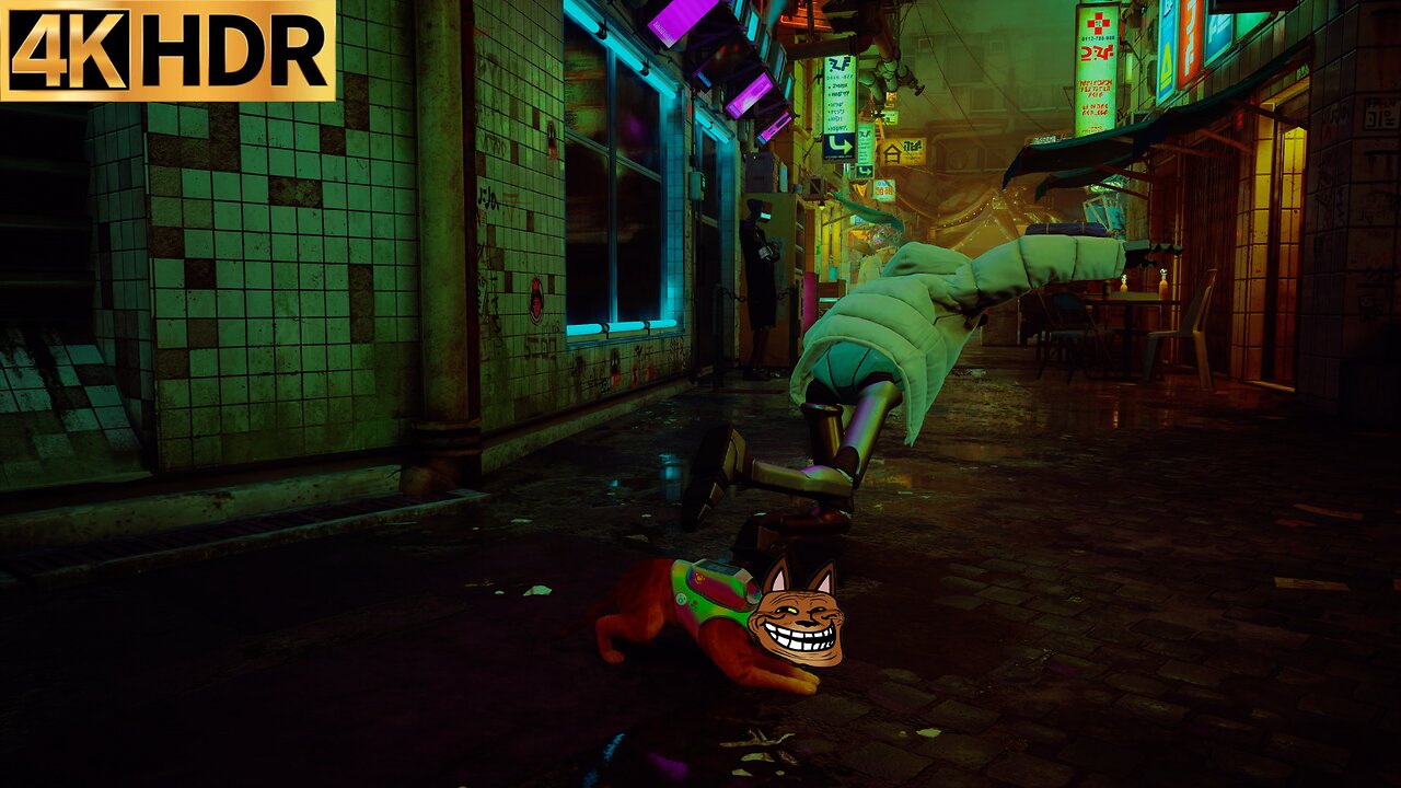 Stray 4K