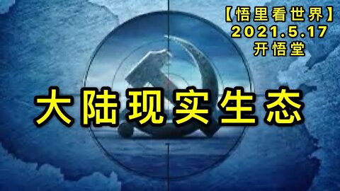 KWT1724大陆现实生态20210517-9【悟里看世界】