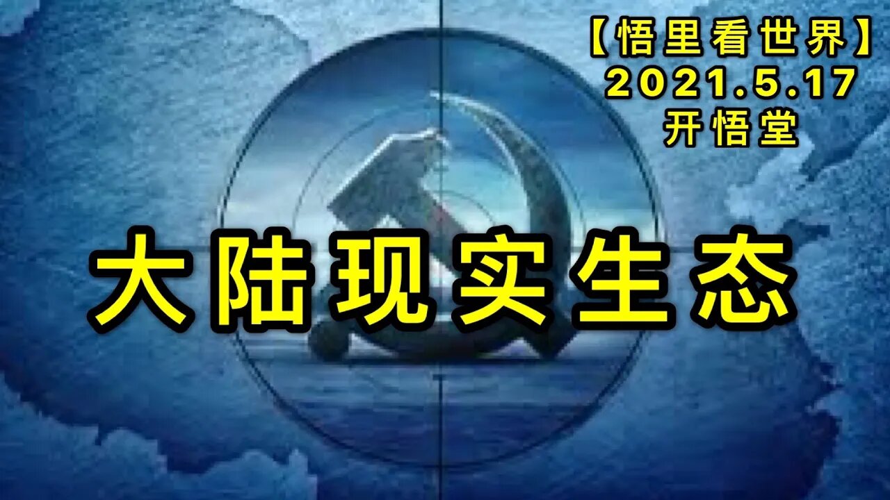 KWT1724大陆现实生态20210517-9【悟里看世界】