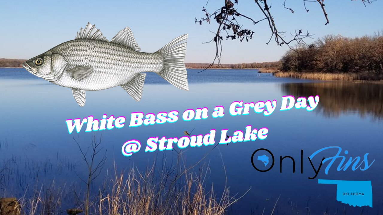 White Bass Fishing In Stroud Lake Oklahoma