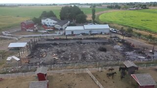 Ontario family needs help after a fire destroyed their barn, killing four horses