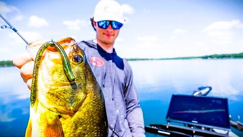 Bassmaster Opens CHAMP Easton Fothergill DOMINATES with NEKO Rig