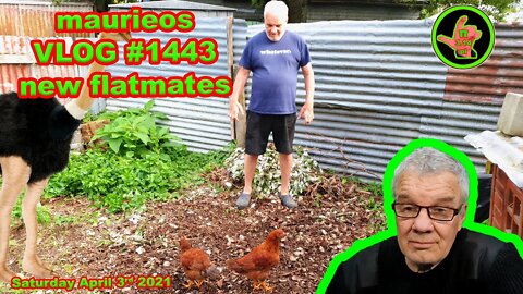 maurieos VLOG #1443 new flatmates