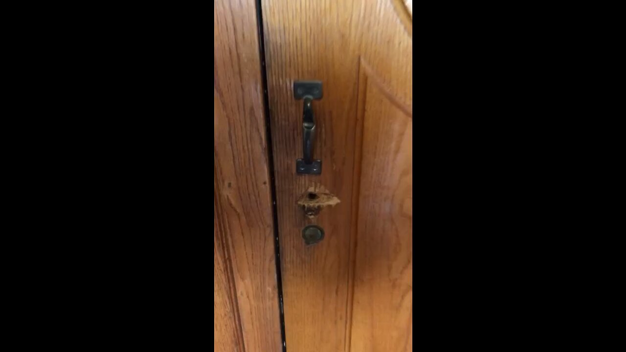 Chef Boy R Dizzy VLOG: #Carolinas 🚘 #June #30 #2023 ⏰🗓