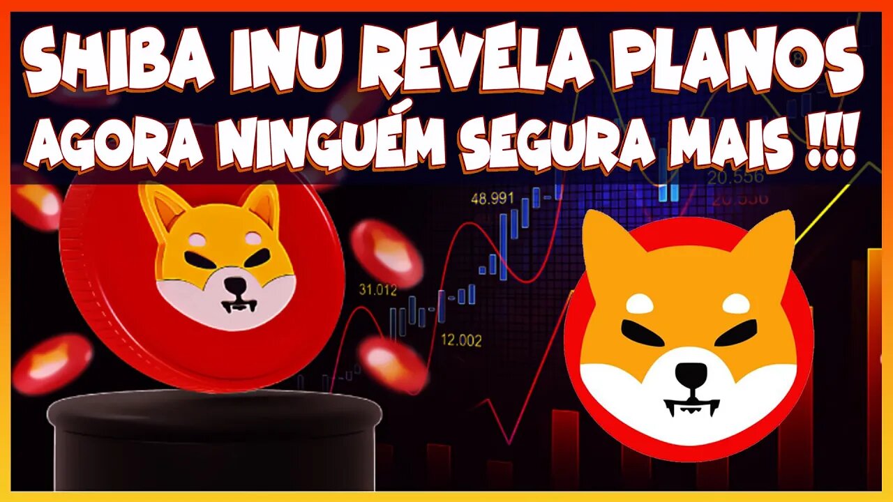 SHIBA INU REVELA PLANOS AGORA NINGUÉM SEGURA MAIS !!!