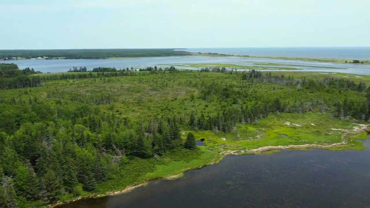 Overhead Kayak View at Kildare Lodge