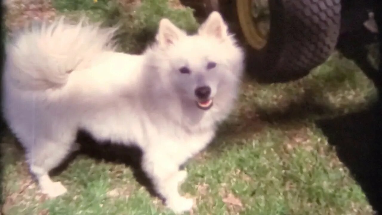 1976 Leo & May Reel Bob and Doll Reel Mae & Lloyd Spencer