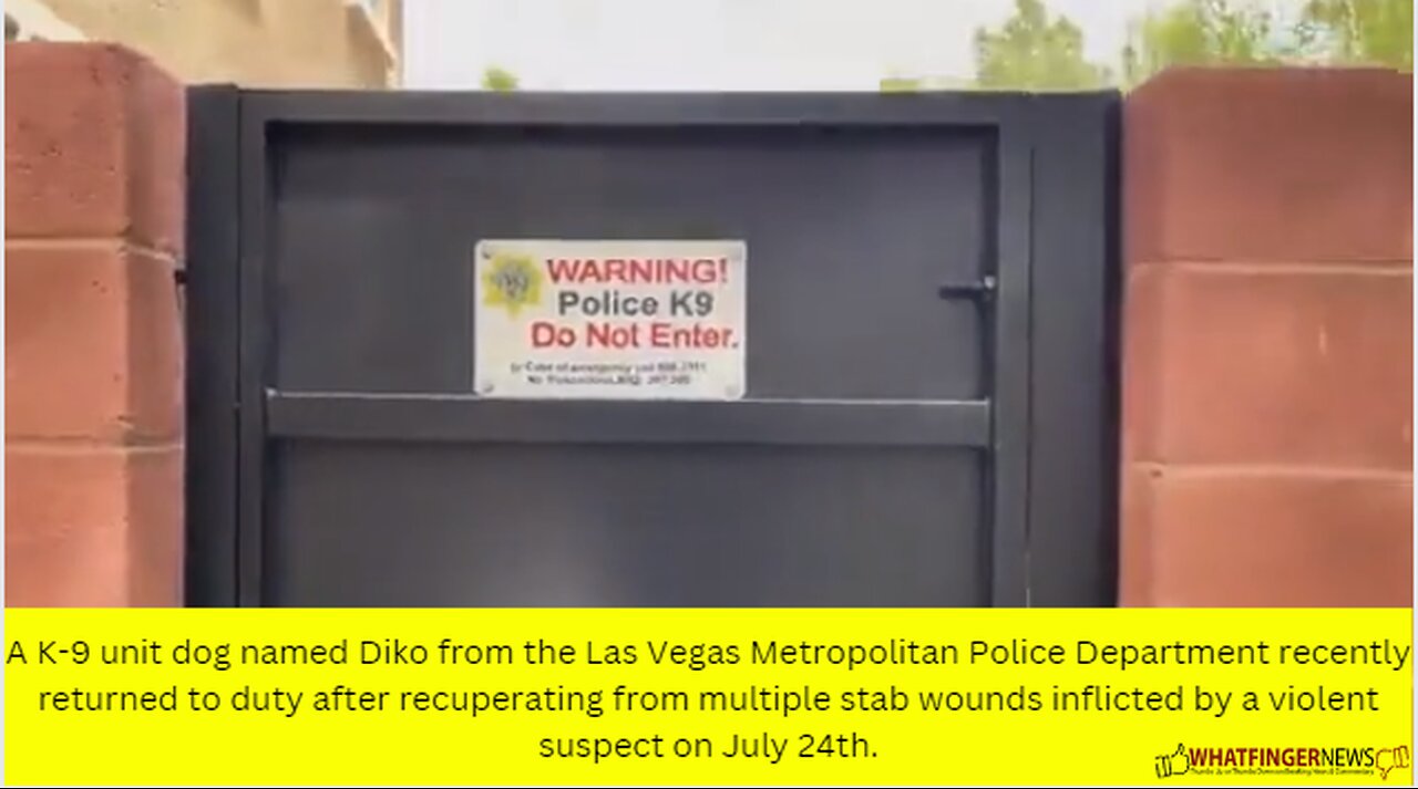 A K-9 unit dog named Diko from the Las Vegas Metropolitan Police Department recently returned