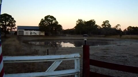 Morning at Venus Ranch