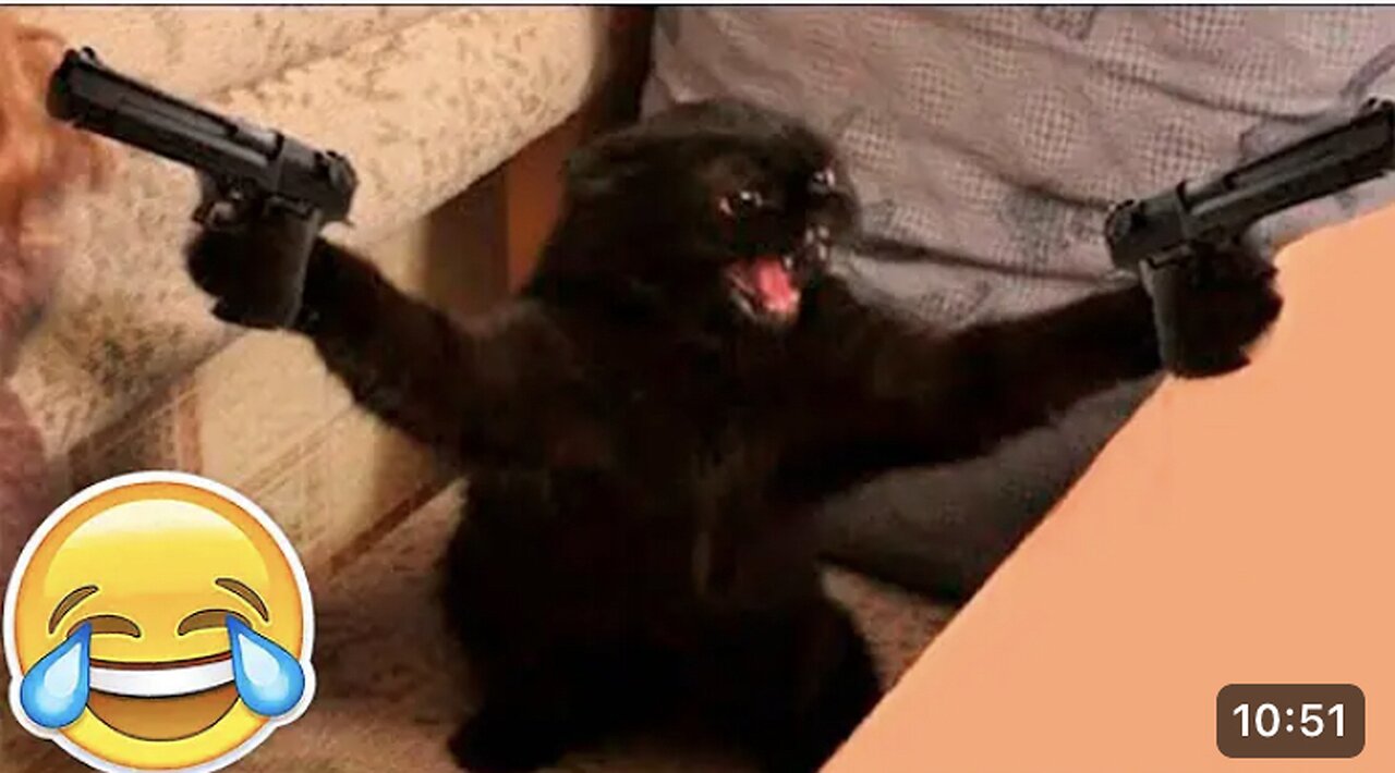 New Funny animals ๐funniest dogs and cats videos ๐๐ฅ๐