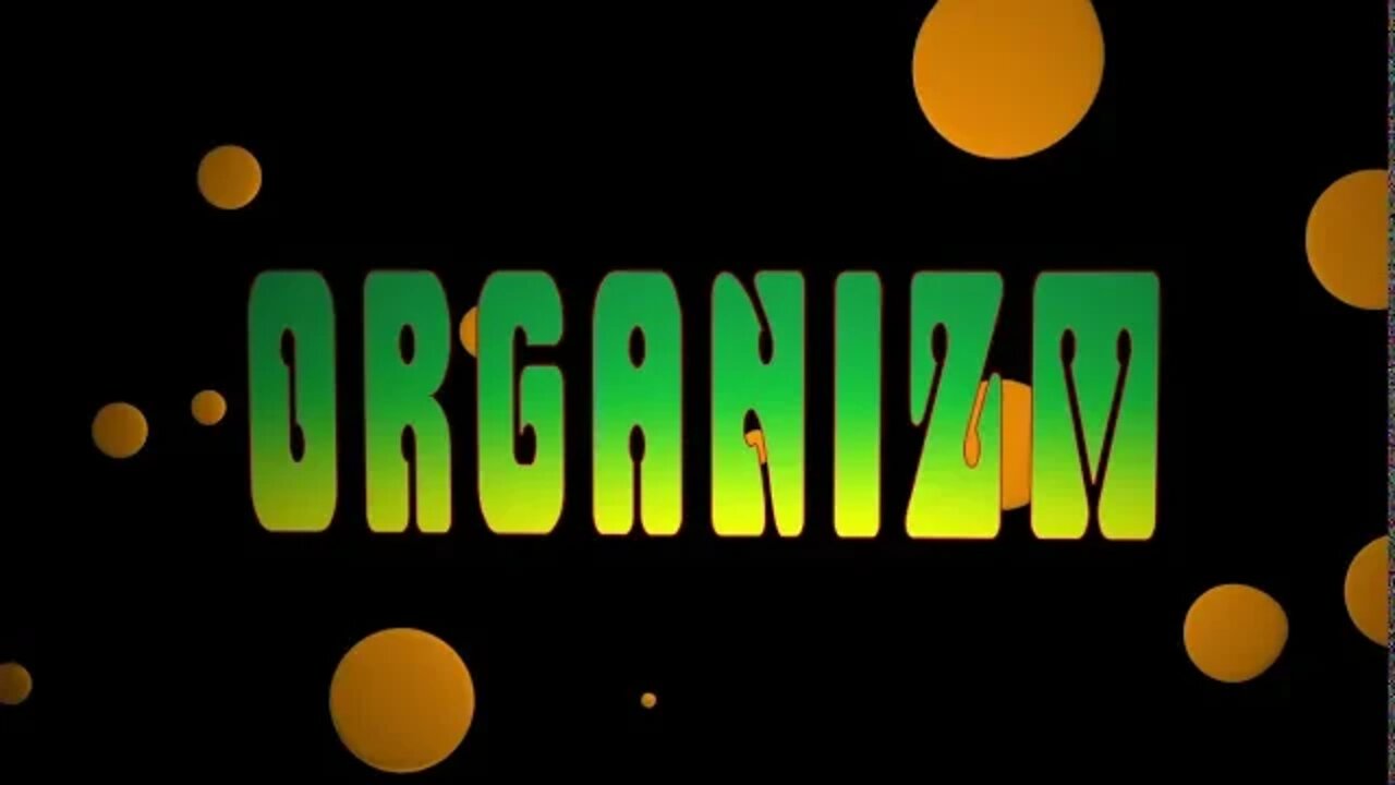 Urban Drama by Organizm