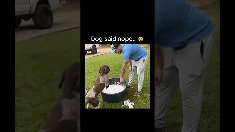 He was like "Not today" 😂