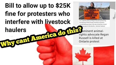 Bill to Allow $25k fine for protesters blocking livestock haulers