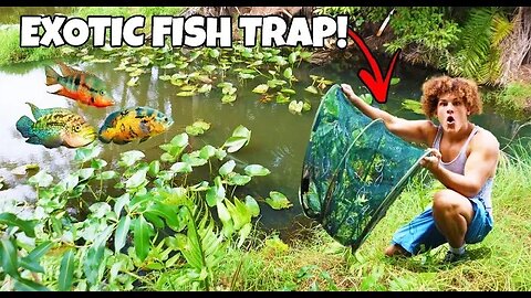 FISH TRAP Catches EXOTIC Aquarium FISH!