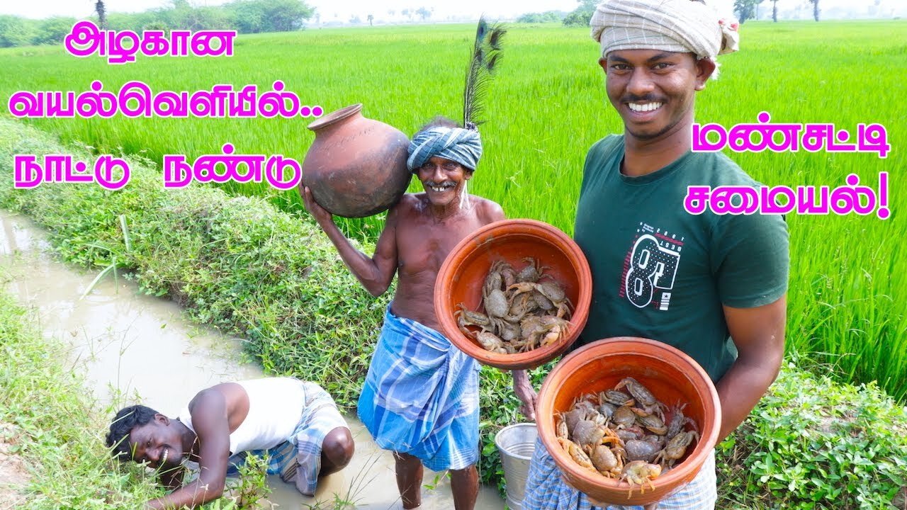 Country CRAB Catching and Cooking in Agricultural land | Primitive Technology | Mud Pot Cooking