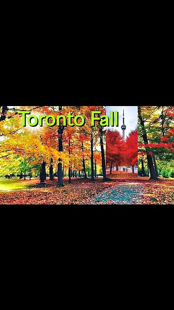 【4K】Autumn Canada 🍁 Fall colors