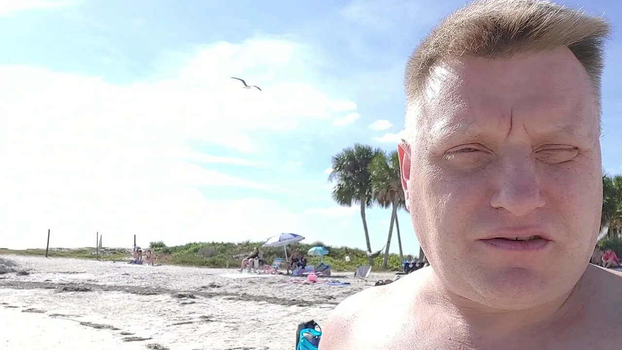 Surrounded By Humans And Palm Trees! Howard Beach Tarpon Springs Florida. 80 Degrees