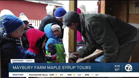 Maybury Farm Maple Syrup Tours