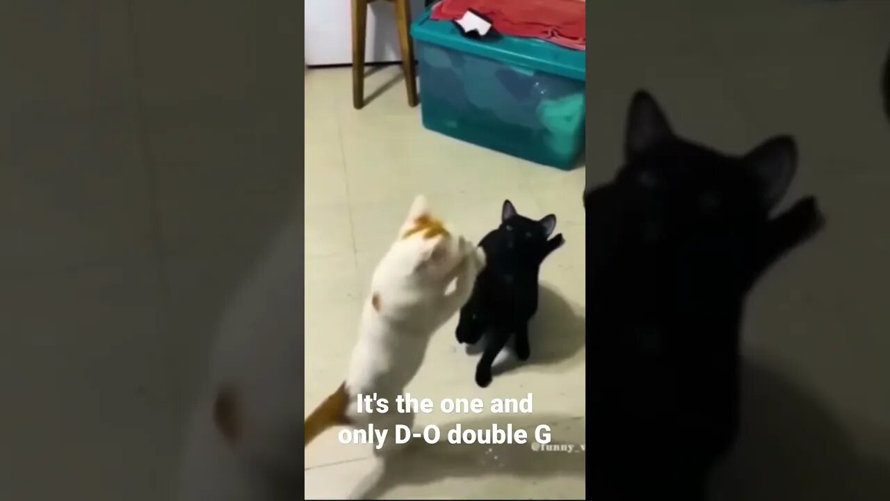 MEME is the one and only D-O double G #shorts