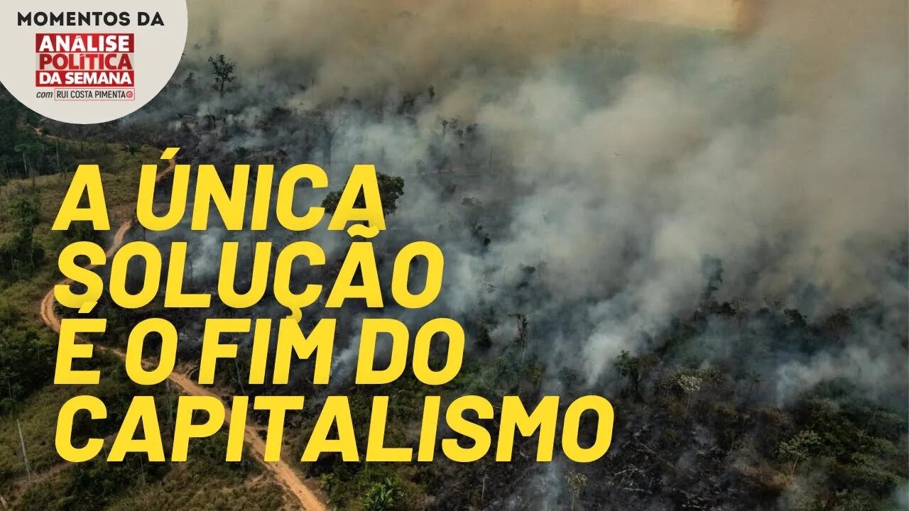 O fim do capitalismo é a única solução para a questão do meio ambiente | Momentos