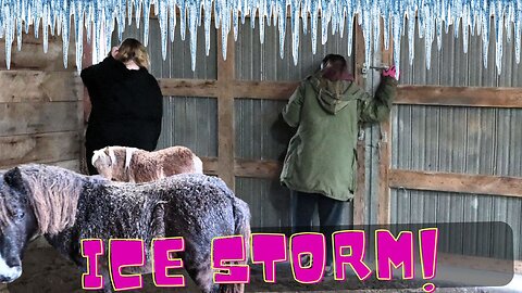 RESCUING Horses From An EXTREME Ice STORM!