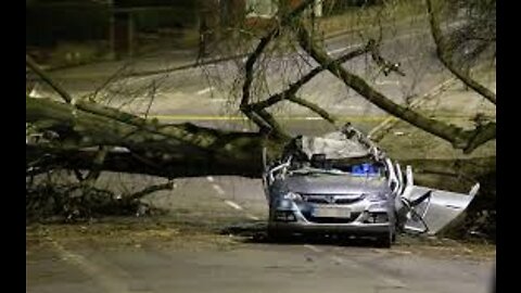 Storm Eunice: Videos show winds toppling trees and ripping roofs