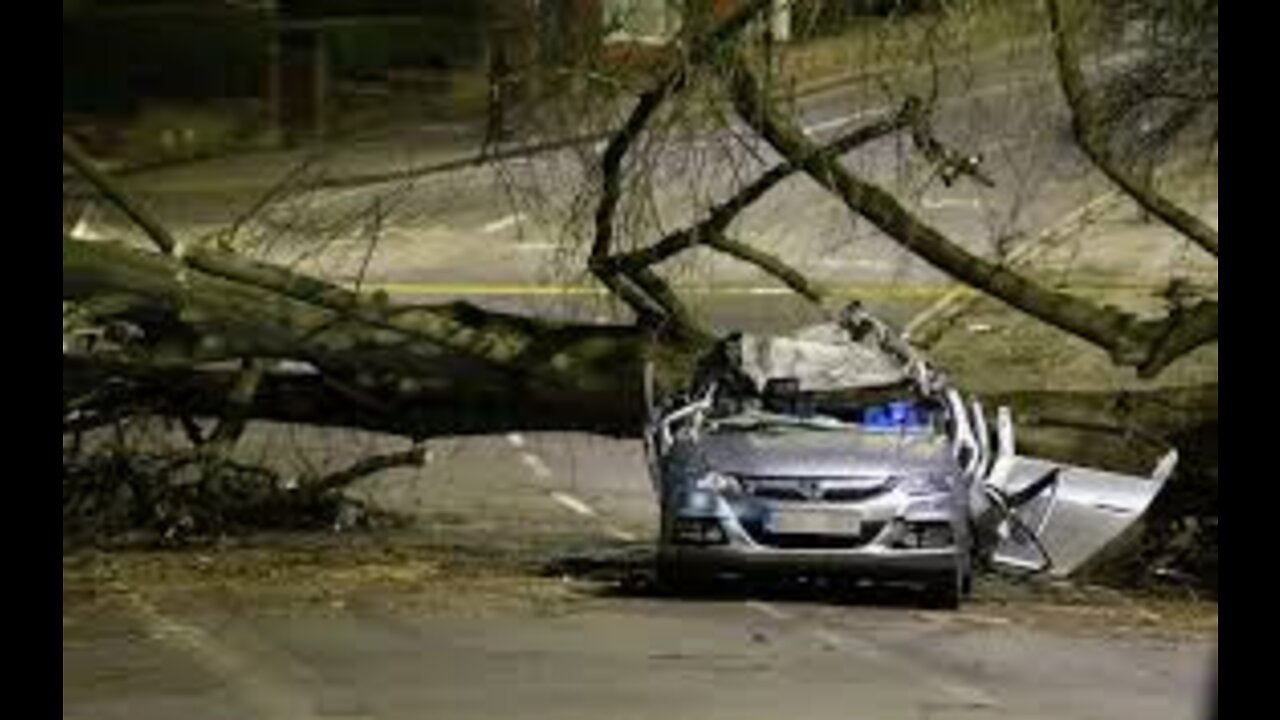 Storm Eunice: Videos show winds toppling trees and ripping roofs