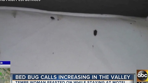 Calls for bedbugs increasing in the Valley