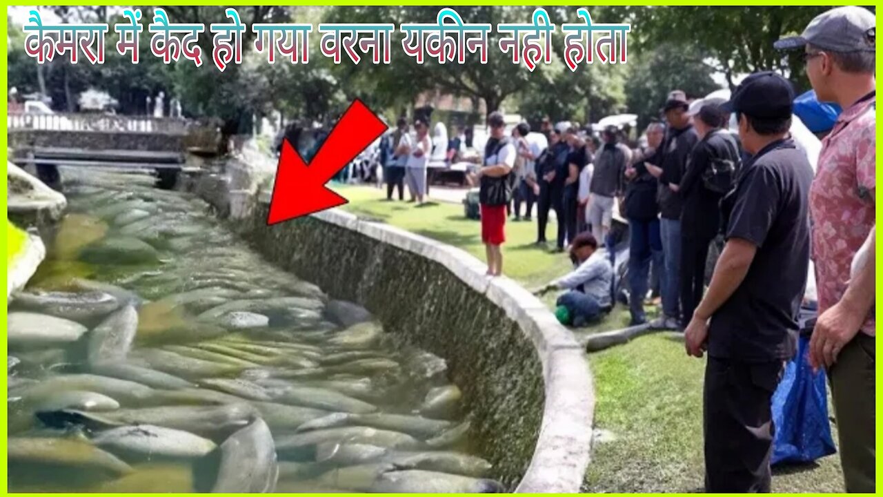 कैमरा में कैद हो गया वरना यकीन नही होता || That Was Really Filmed on Camera || #FactBhaiIndian