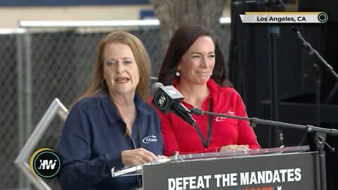 United Airlines Captain Sherry Walker: "The Real Danger To You Is Starting To Emerge"