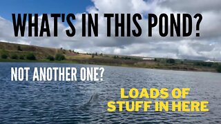 What's In This Pond? Magnet Fishing
