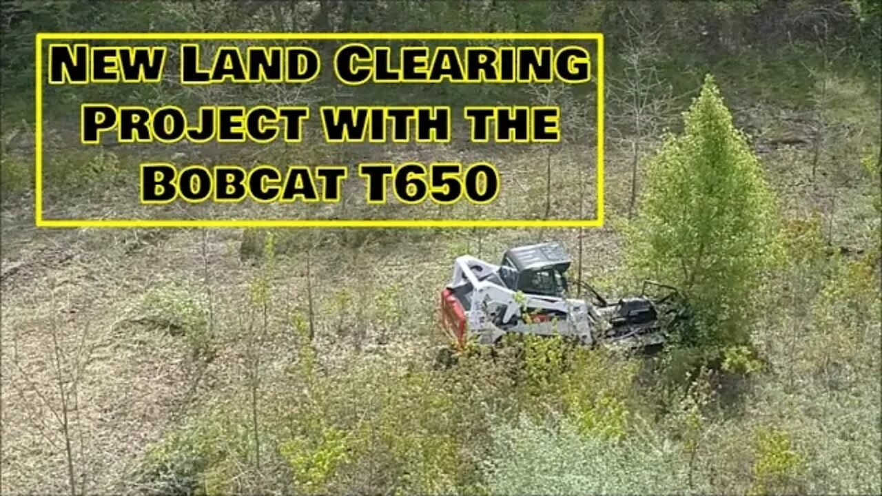 A new land clearing project DAY 1. Illinois land management Bobcat T650 CTL clearing land!