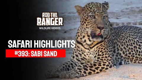 Safari Highlights #393: 07 - 10 March 2016 | Sabi Sand Wildtuin | Latest Wildlife Sightings
