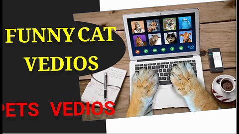 Hilarious Cat Chronicles: The Ultimate Funny Animal Videos Compilation 2023